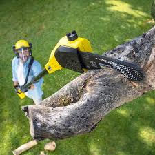 Best Lawn Pest Prevention  in Pickerington, OH