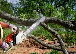 Best Tree Mulching  in Pickerington, OH