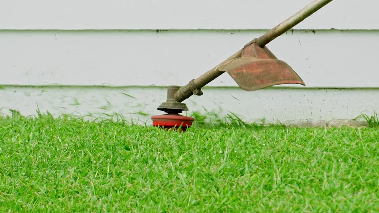 Best Lawn Maintenance Plans  in Pickerington, OH