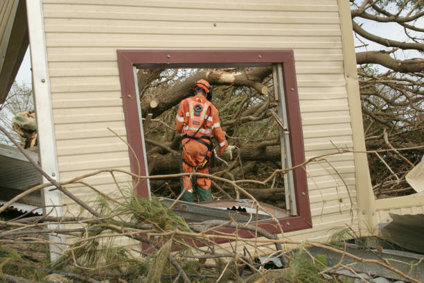 Best Tree Health Inspection  in Pickerington, OH