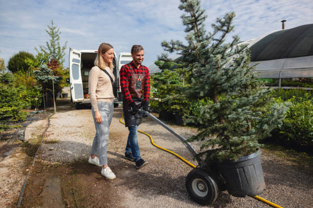 Best Root Management and Removal  in Pickerington, OH